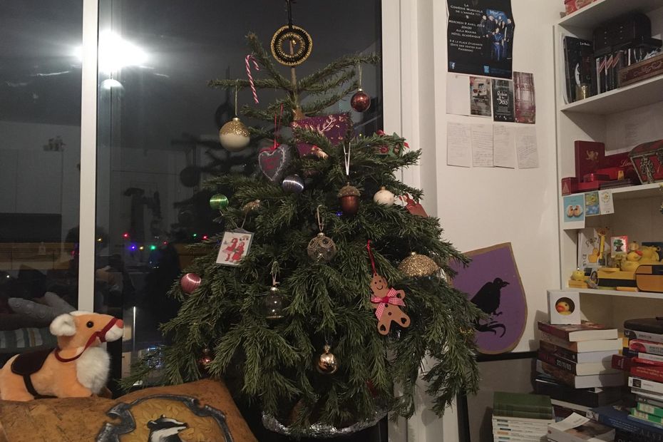 voici comment recycler son sapin de Noël de manière écologique