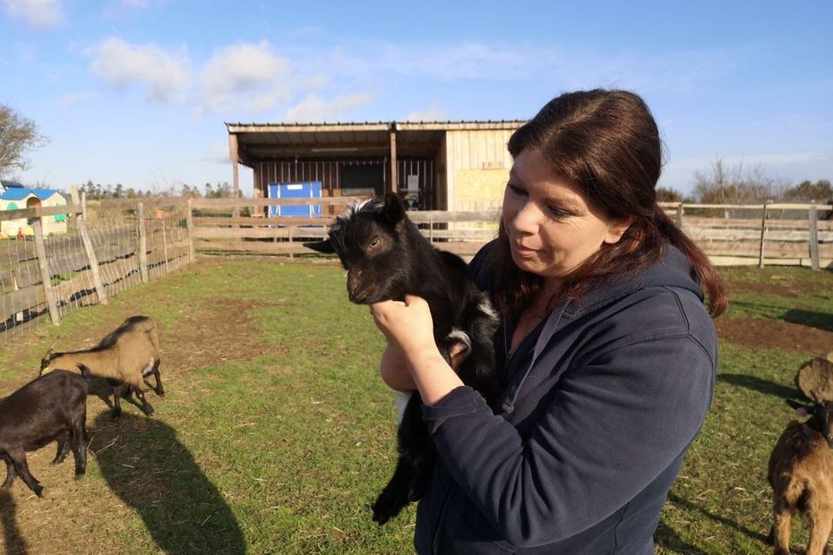 Pourquoi son refuge pour animaux abandonnés et maltraités est en danger