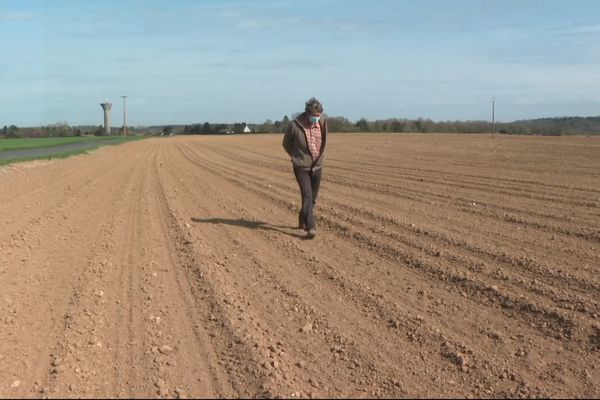 Gel le régime de calamité agricole activé face aux pertes de récoltes