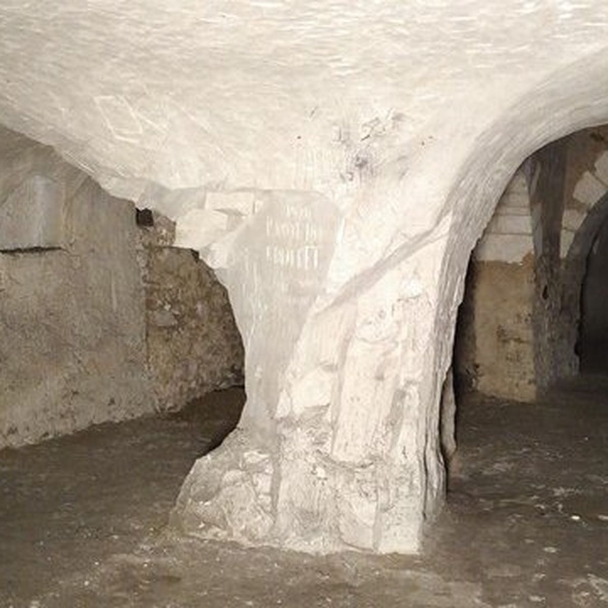 Alleato Per Conto Di Zero Dom Perignon Visite Cave Requisiti