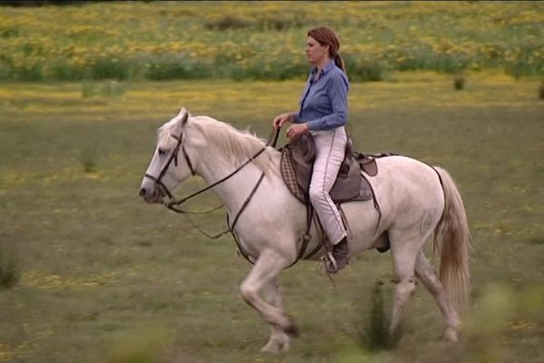 Florence Clauzel, une des rares manadières de Camargue qui vit de ses taureaux professionnels 