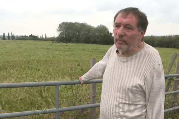 Âgé de 67 ans, cet éleveur de taureaux de combats risque de devoir abandonner ses terres, et peut-être ses bêtes.