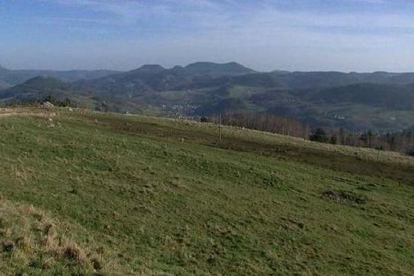 Pas la moindre trace de neige dans le massif vosgien