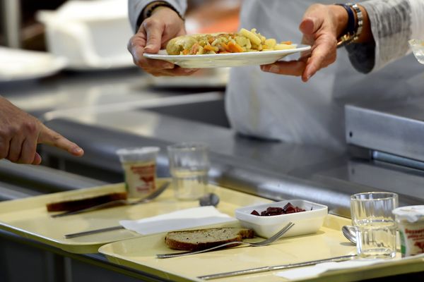 Cantine, garderie, accueil scolaire... le fonctionnement des établissements sera perturbé, jeudi 16 novembre, en raison d'un appel à la grève. 