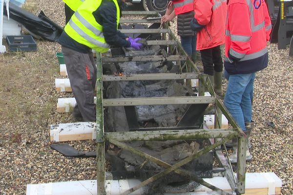 La pirogue a été extraite d'une sablière dans l'Aisne, 10 ans après sa découverte.