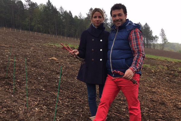 Philippe et Vania Avril, un couple franco-suisse, plantent les premiers ceps du futur vignoble Saint-Bazile de la Roche