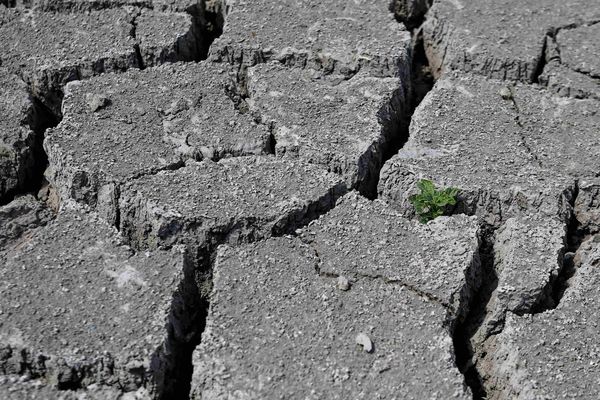 Les canicules et l'absence de pluie à l'automne 2018 n'ont pas permis aux niveaux des nappes phréatiques franciliennes de remonter cette année. 