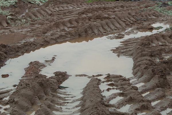 Les pluies des dernières semaines rendent les champs impraticables.