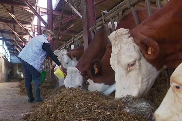 La MSA de Haute-Loire forme des sentinelles pour repérer les signes de mal-être chez les agriculteurs.