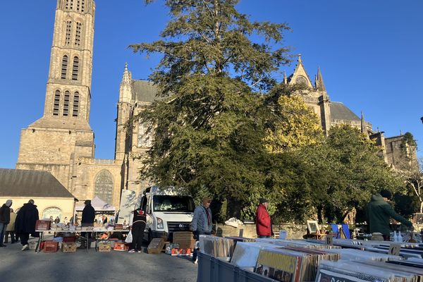 Une partie des puces de la cité s'installent dans les jardins de l'Evêché pour deux ans