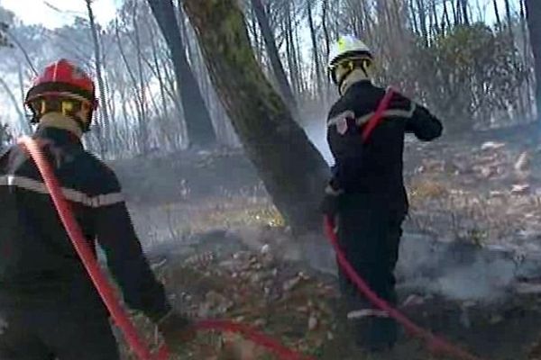 Aujargues (Gard) - les pompiers luttent contre un incendie de forêt - 13 mai 2014.