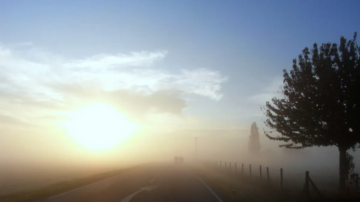 Meteo En Aquitaine Du Vendredi 29 Janvier Qui Va Rester Dans Le Brouillard