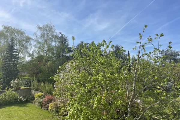 Une ambiance estivale s’annonce dans les prévisions météo.