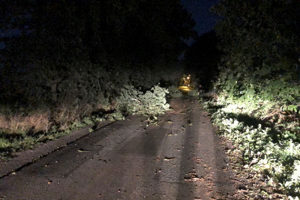 Les routes rendues dangereuses avec de nombreuses chutes d'arbres en Bretagne