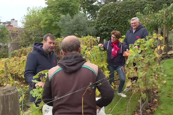 Depuis 1934, il y a des vendanges à Montmartre à Paris, parmi les cépages présents, il y a ceux de la cité des papes.