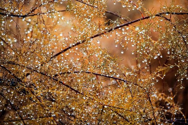 Des gouttes de pluies et même des flocons dans le Grand Est ce dimanche