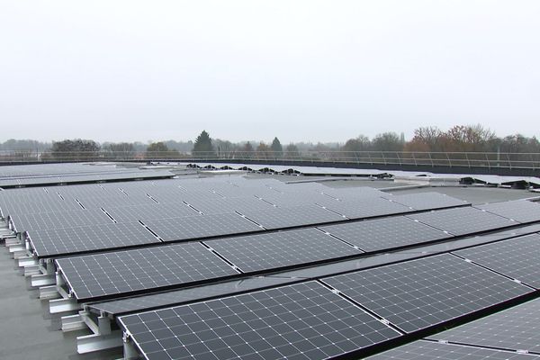 Coût de l'électricité. La Banque alimentaire de Bourg-en-Bresse a misé sur le photovoltaïque pour amortir le choc.