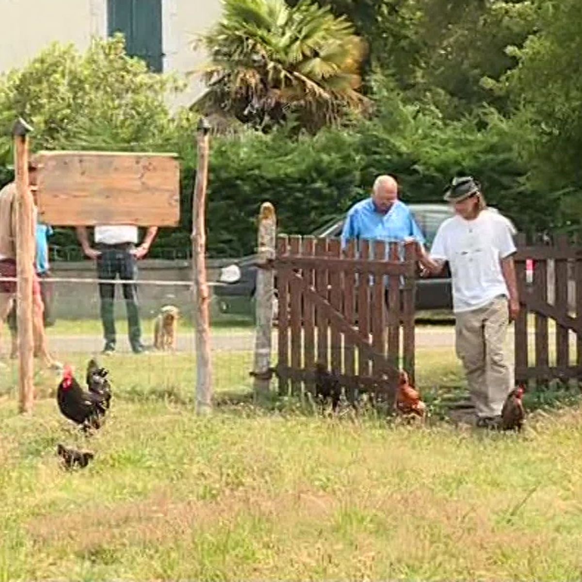 Œufs frais et lien social : dans un village des Landes, sept 