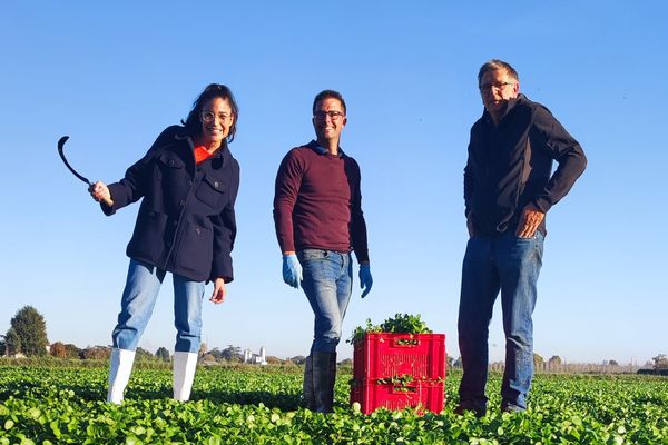 Justine Piluso est à Boé près d'Agen dans une cressonnière