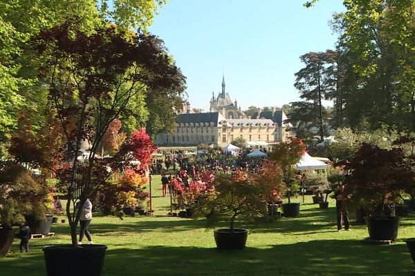 Les journées des plantes à Chantilly ont lieu du 7 au 9 octobre 2022.