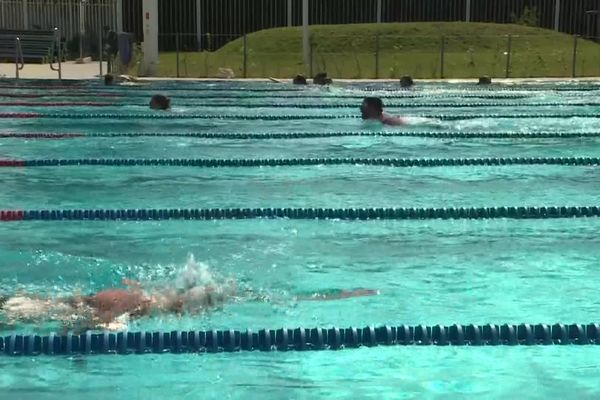 Les noyades ont généralement lieu chez les particuliers, mais il arrive qu'elles surviennent dans des piscines publiques ou privées à usage collectif.