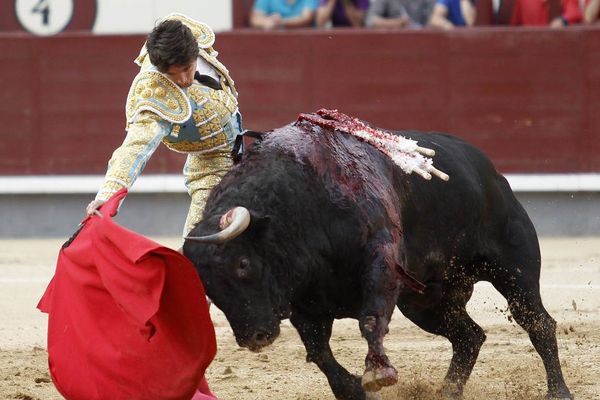 Madrid : la main droite de Castella et le galop de Hebrea