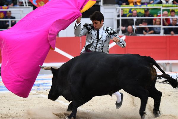 La corrida d'Arles, le 9 septembre 2017.