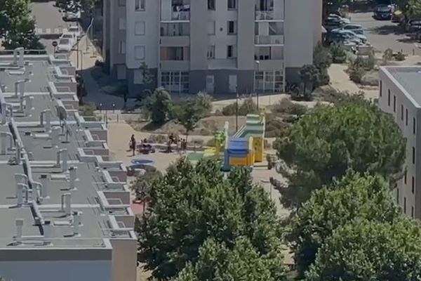 Dans la cité de Cavaillon, les dealers ont organisé des festivités pour le 14 juillet festif pour promouvoir leur plan Stup sur les réseaux sociaux.