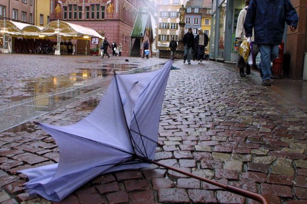 Des vents violents sont annoncés en Alsace ce dimanche 10 février.