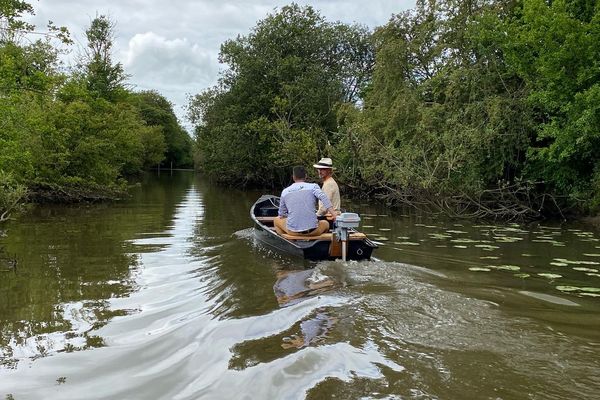 La traversée de la Baie des Veys dans les marais du Cotentin avec Vincent Chatelain