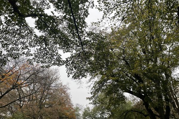 Ambiance automnale dans le ciel lillois