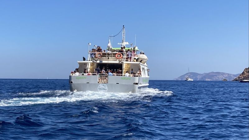 Les bateaux de promenade en mer sillonnent la réserve chaque jour pendant l'été. Certaines excursions partent d'Ajaccio.