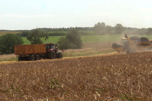 En Lorraine, une année difficile pour les agriculteurs en raison des conditions météorologique et plus particulièrement de la pluie.