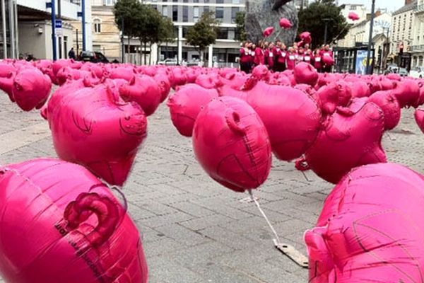 les cochons sur la place de la gare à Rennes