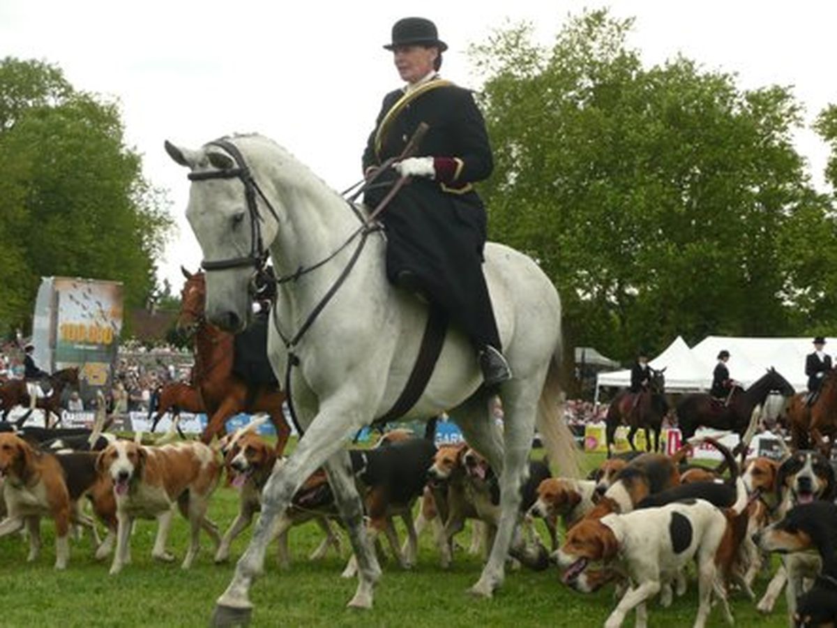 Les Amazones au Game Fair