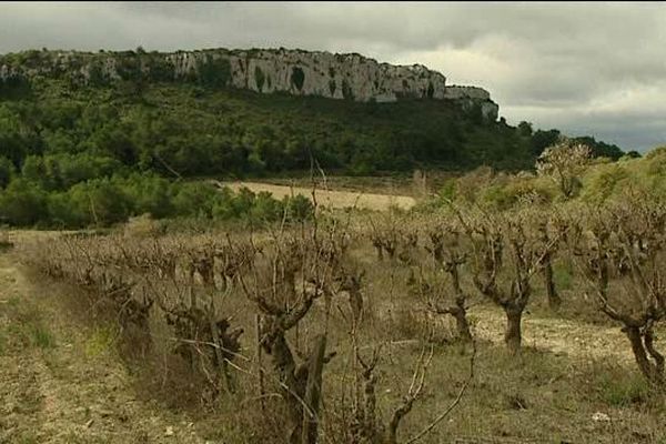 Dans l'Aude, le vin de la Clape, ancienne île romaine, est désormais passé en AOC pour le blanc et le rouge. L'appellation a su conserver la beauté de ses origines insulaires.