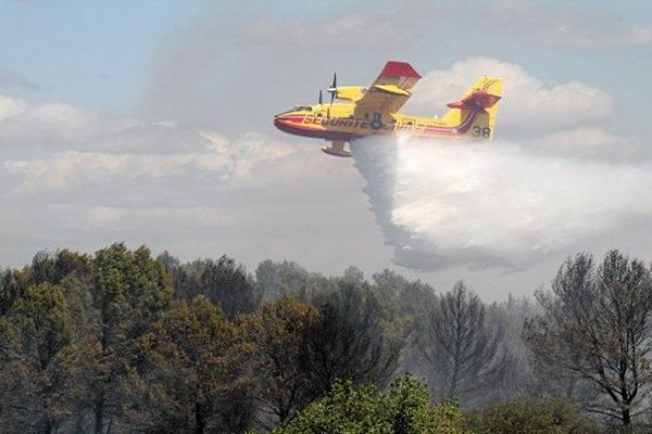 3,5 hectares de forêts sont menacés par les flammes 