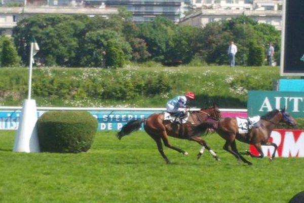 Milord Thomas, un pur sang de 6 ans monté par Jacques Ricou, a remporté l'édition 2015 du Grand Steeple-Chase de Paris, qui se courait ce dimanche à l'hippodrome d'Auteuil.