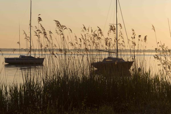 Lever de soleil nuageux sur Carreyre - Gironde (33)