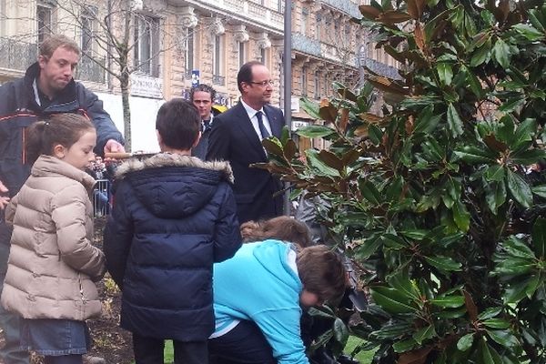 Le long de la rue du Poids de l'Huile, un grand magnolia a été planté le 17 mars 2013.