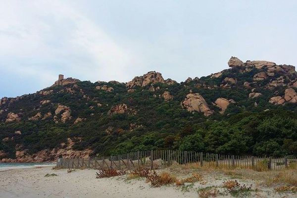 ILLUSTRATION - Entre Sartène et Bonifacio, la sculpture naturelle du "lion de Roccapina (Corse-du-Sud)