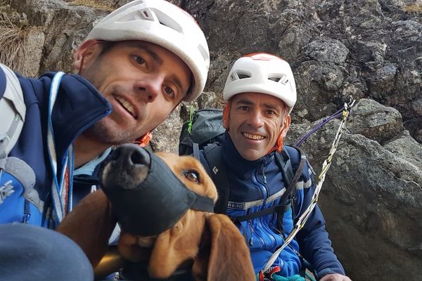 Le chien est resté bloqué deux jours à 2600m d'altitude.