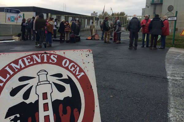 Les membres du collectif "Les faucheurs volontaires" en action à Plouagat