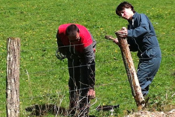 Tout au long de l'année, ce sont 13000 salariés à travers toute la France qui sont sollicités pour remplacer un exploitant agricole