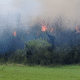 Incendie de forêt à Chassal-Molinges dans le Jura