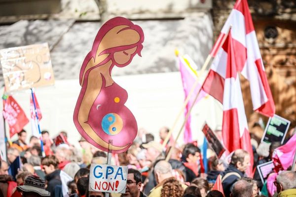 A la suite de l'adoption par l'Assemblée Nationale du 1er article du projet de loi bioéthique qui ouvre la PMA aux lesbiennes et aux femmes célibataires, une vingtaine d'associations a manifesté contre ce vote et contre la gestation pour autrui (GPA).