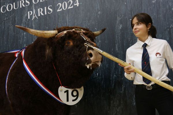 Pauline Duval, 15 ans, et River, 4 ans, ont remporté une médaille au concours général agricole, au salon international agricole à Paris.