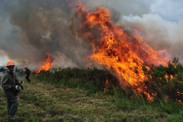 Un brûlis dirigé sous contrôle étroit des pompiers