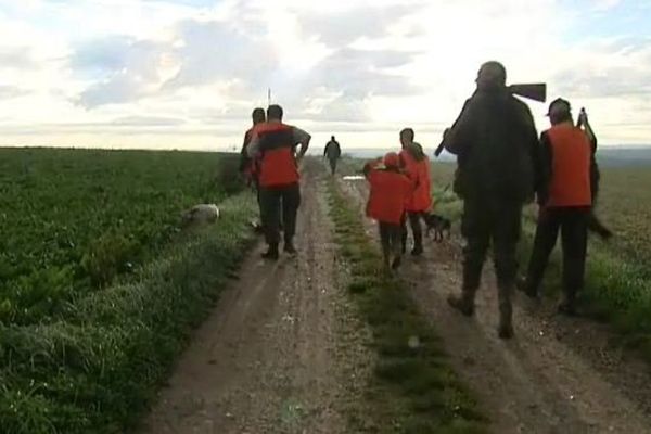 La chasse en plaine en Picardie