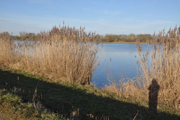 La Saône intègre le dispositif mis en place dans le Rhône